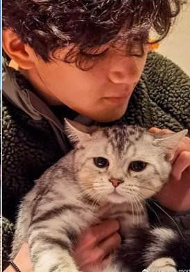 儿子用词不当被质疑港独 袁咏仪急认错:支持一个中国