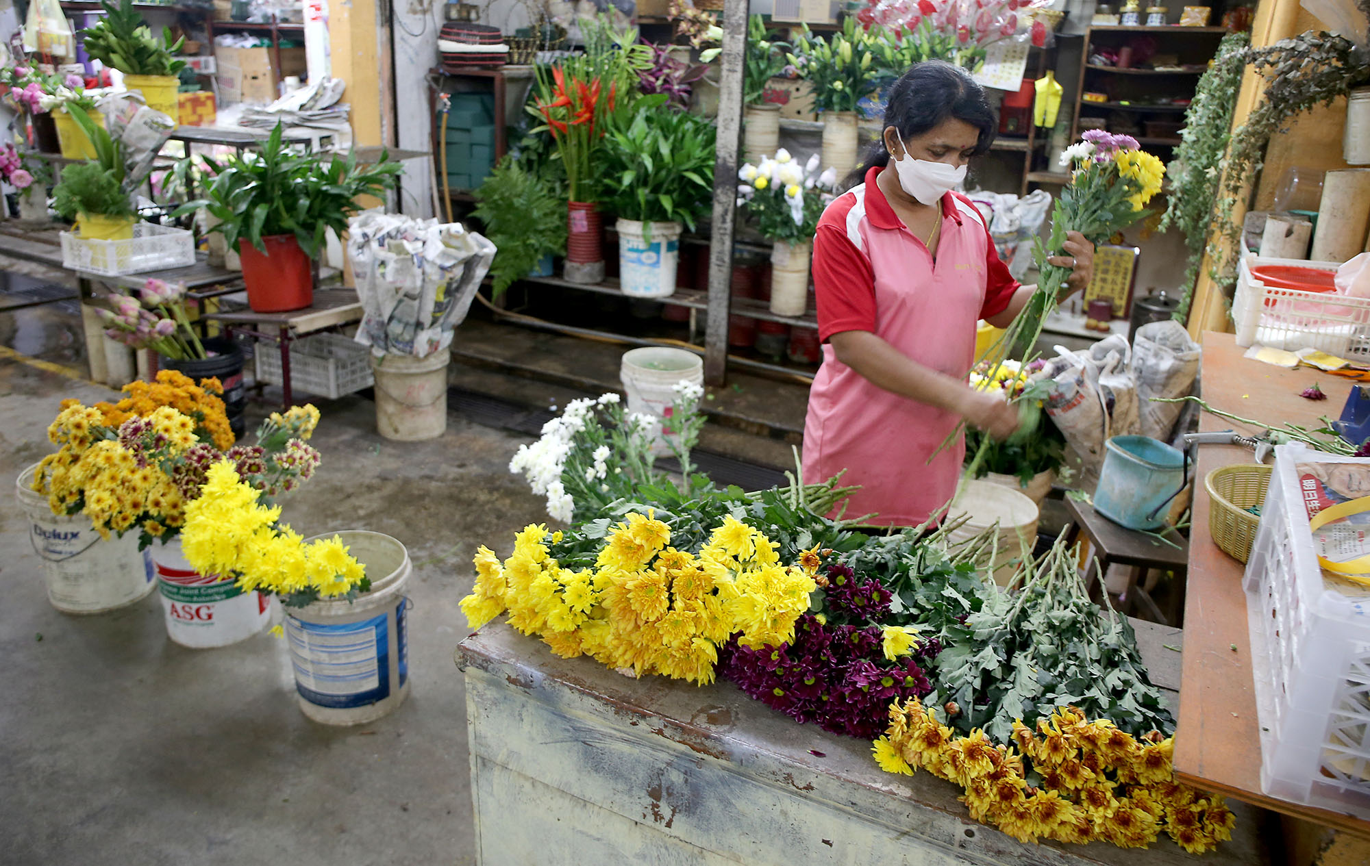全国版/天气多雨外劳不足花农转行 金马仑鲜花缺货