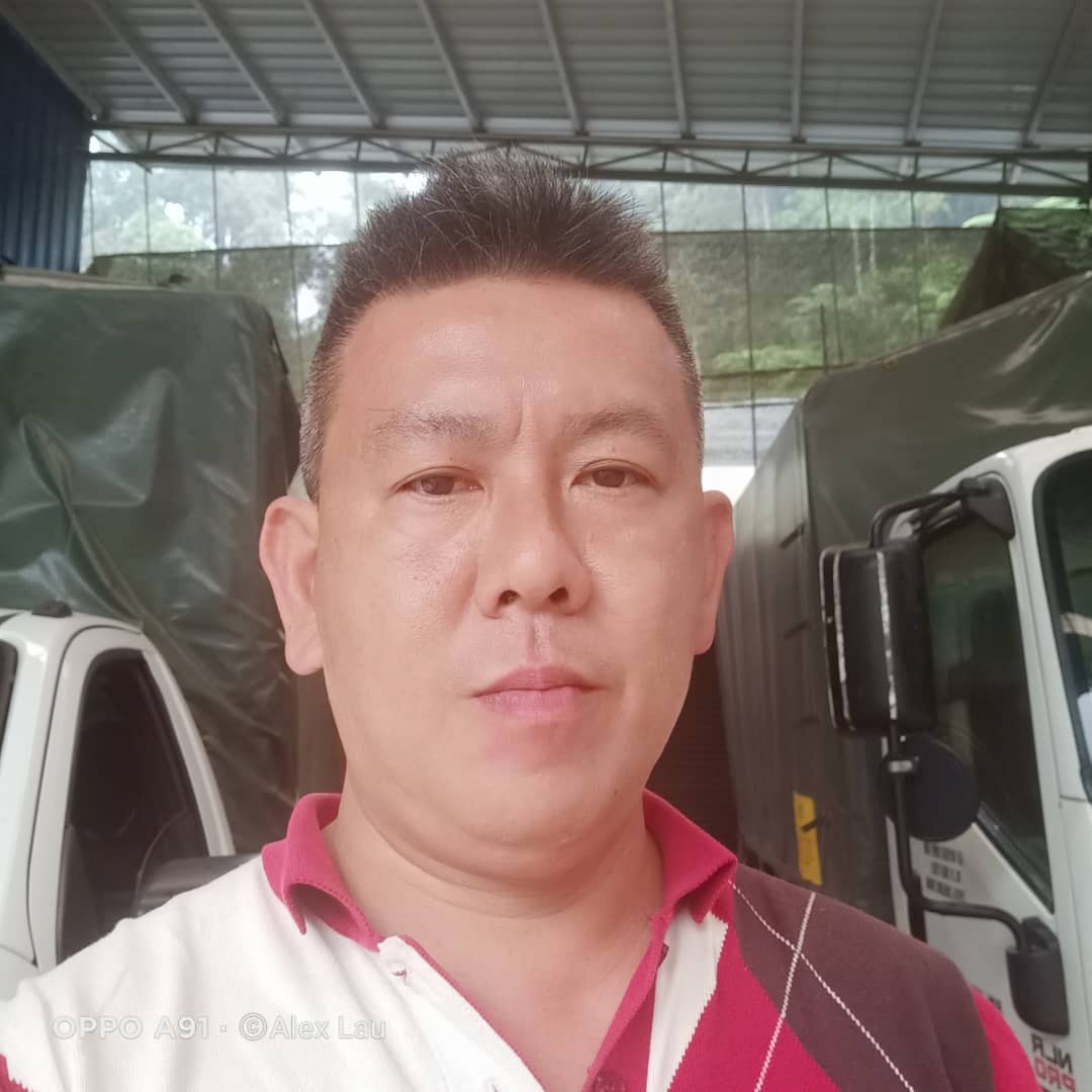 全国版/天气多雨外劳不足花农转行 金马仑鲜花缺货