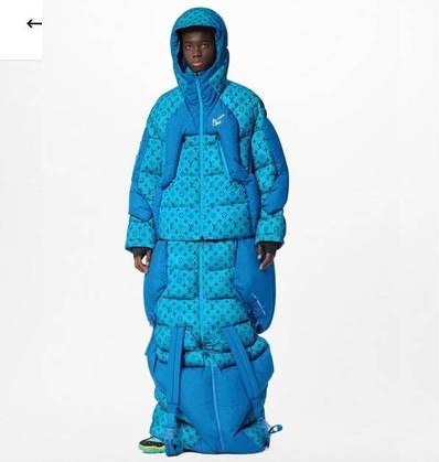 名牌羽绒衣被批像“菜虫”  Jin@BTS一穿全网改口