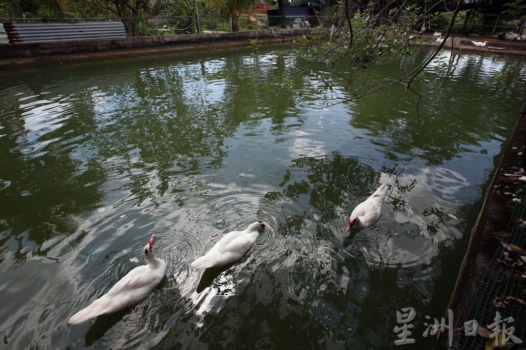 周刊食堂：Herbaland。[摄影组] 黄安健/[副刊组]特约记者：李秀华