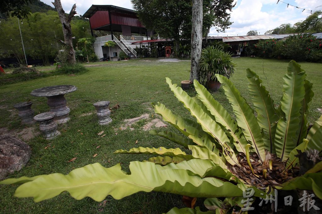 周刊食堂：Herbaland。[摄影组] 黄安健/[副刊组]特约记者：李秀华