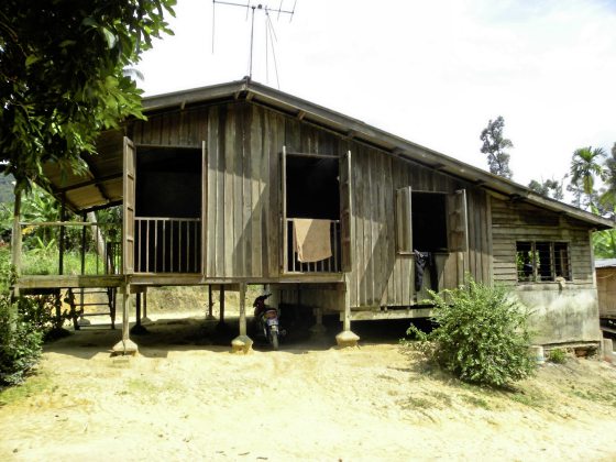 城乡余集/张集强/构筑的权力