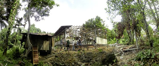 城乡余集/张集强/构筑的权力