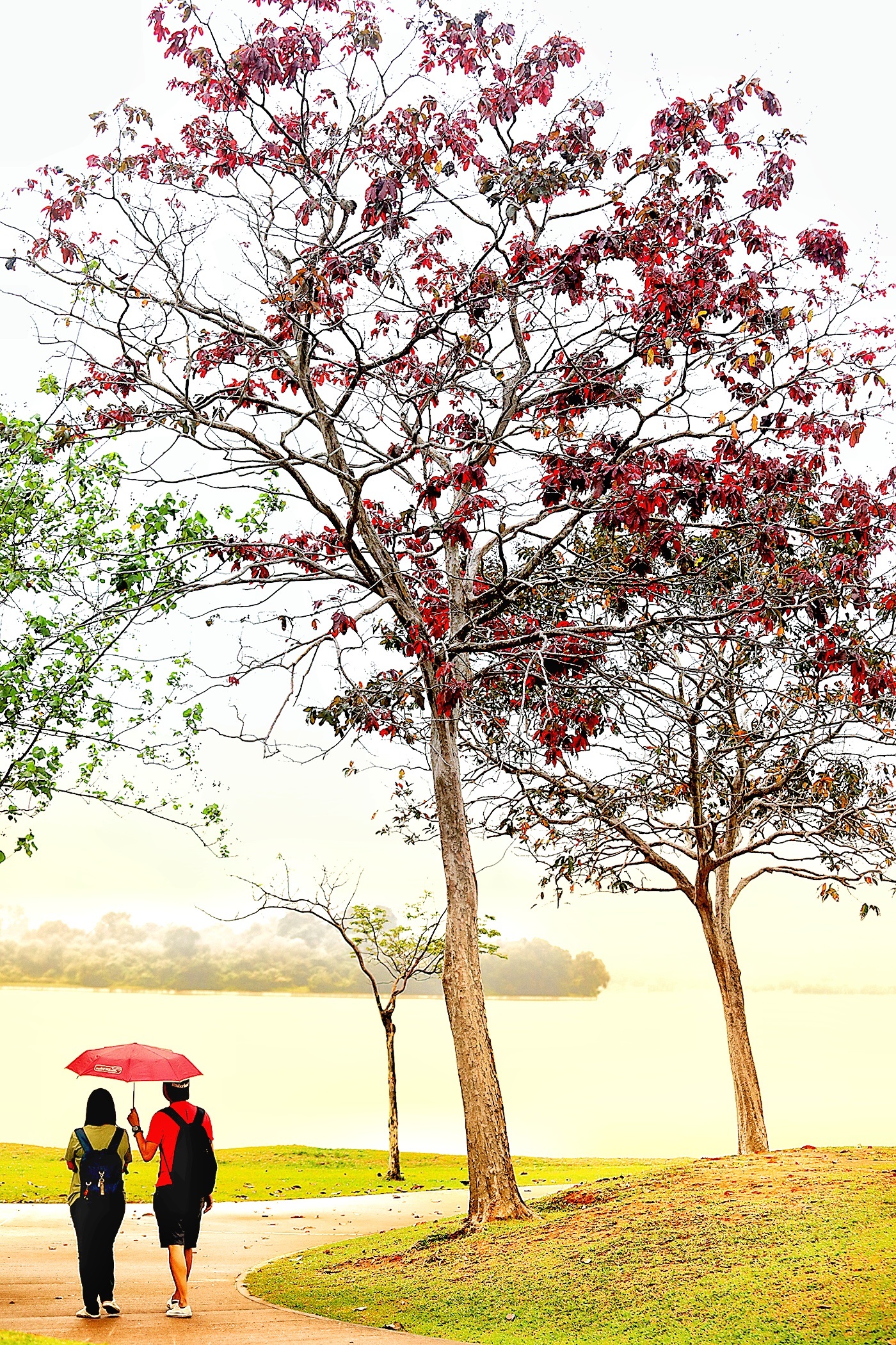 大都会-疫起出游/赛城