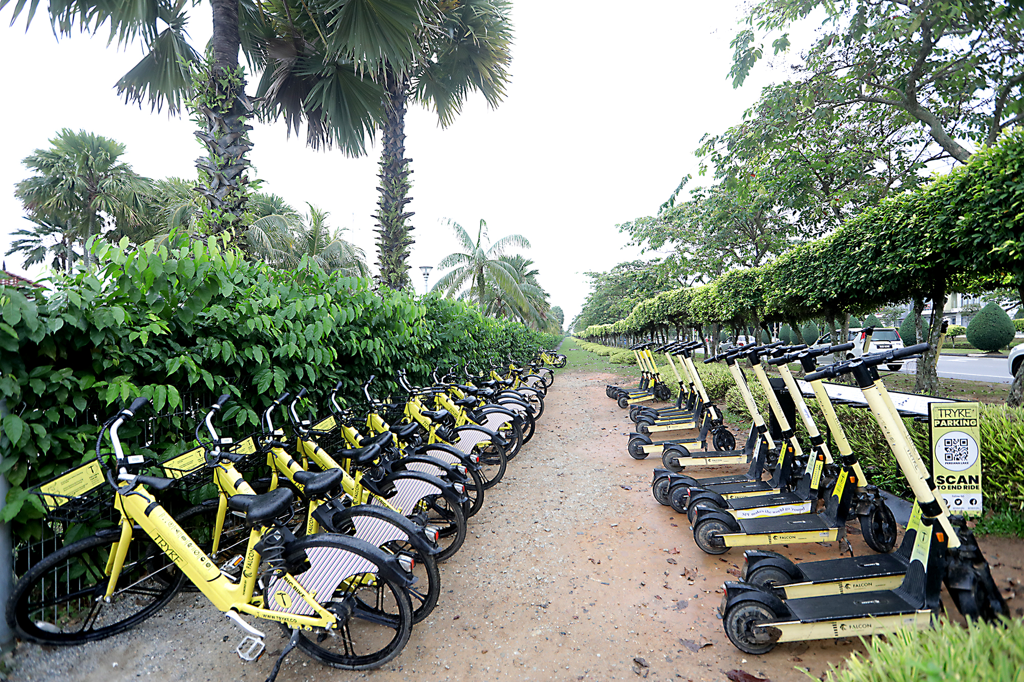 大都会-疫起出游/赛城