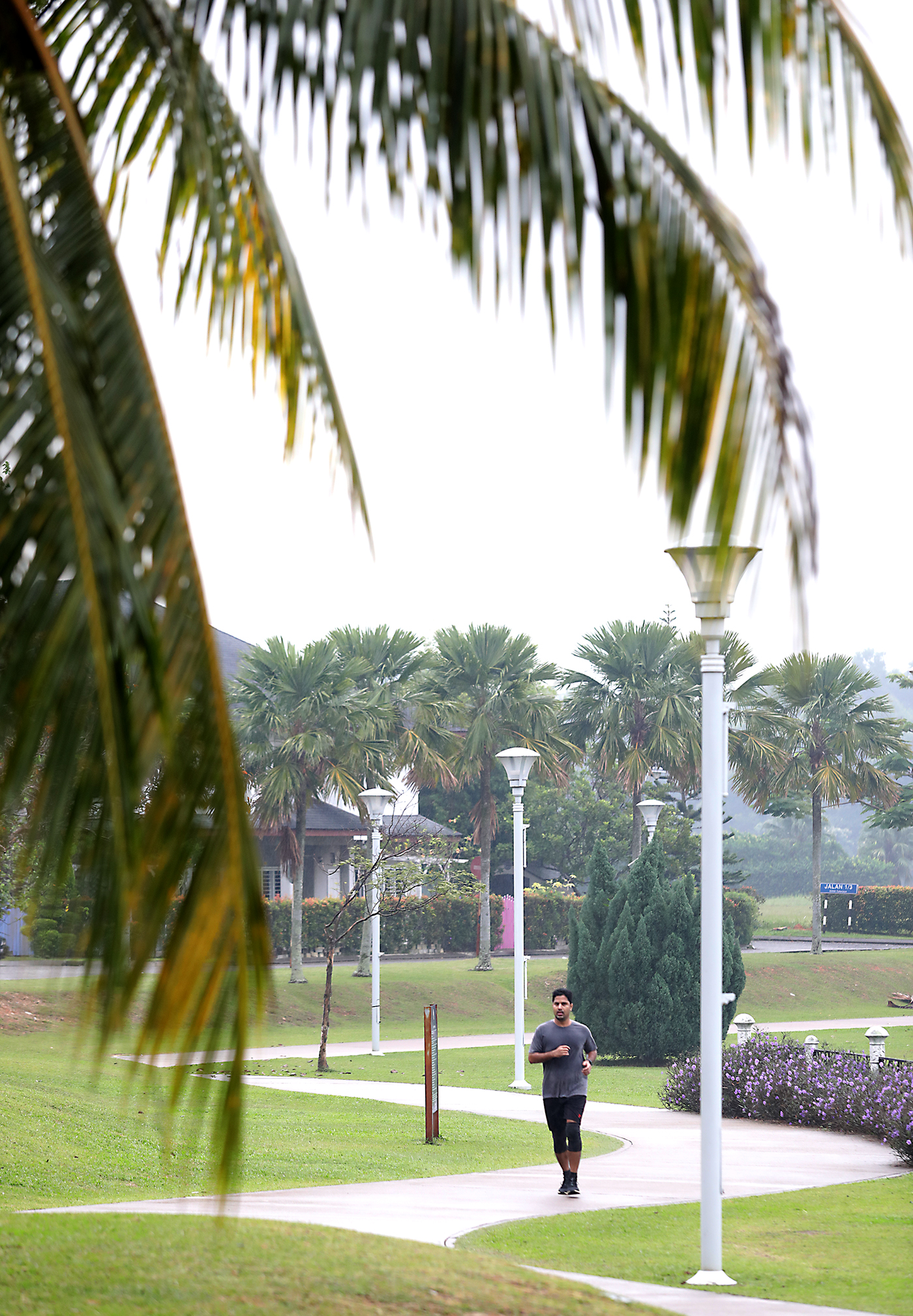 大都会-疫起出游/赛城