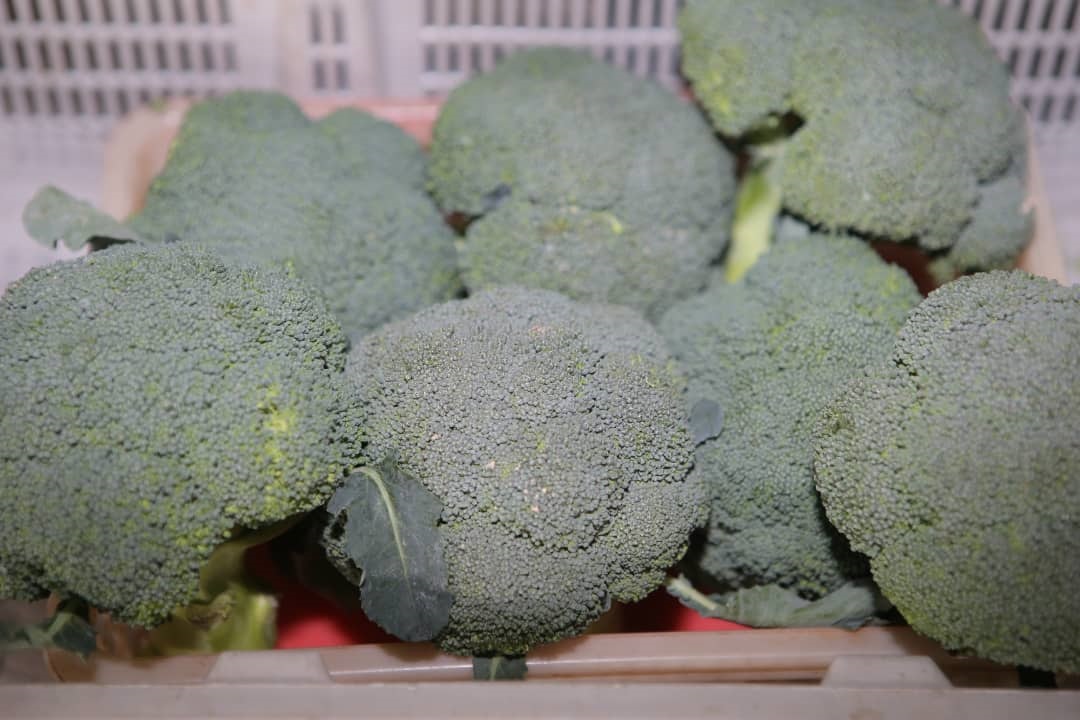 大霹雳时事焦点／价高利少风险大 部分菜贩暂休观望
