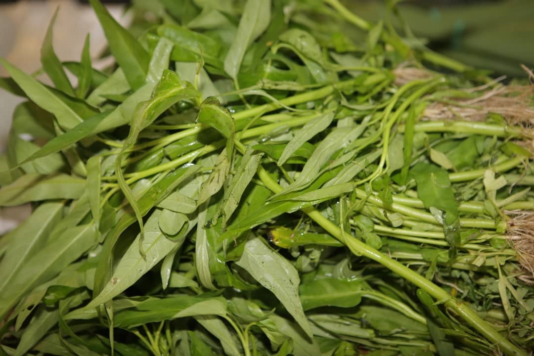 大霹雳时事焦点／价高利少风险大 部分菜贩暂休观望
