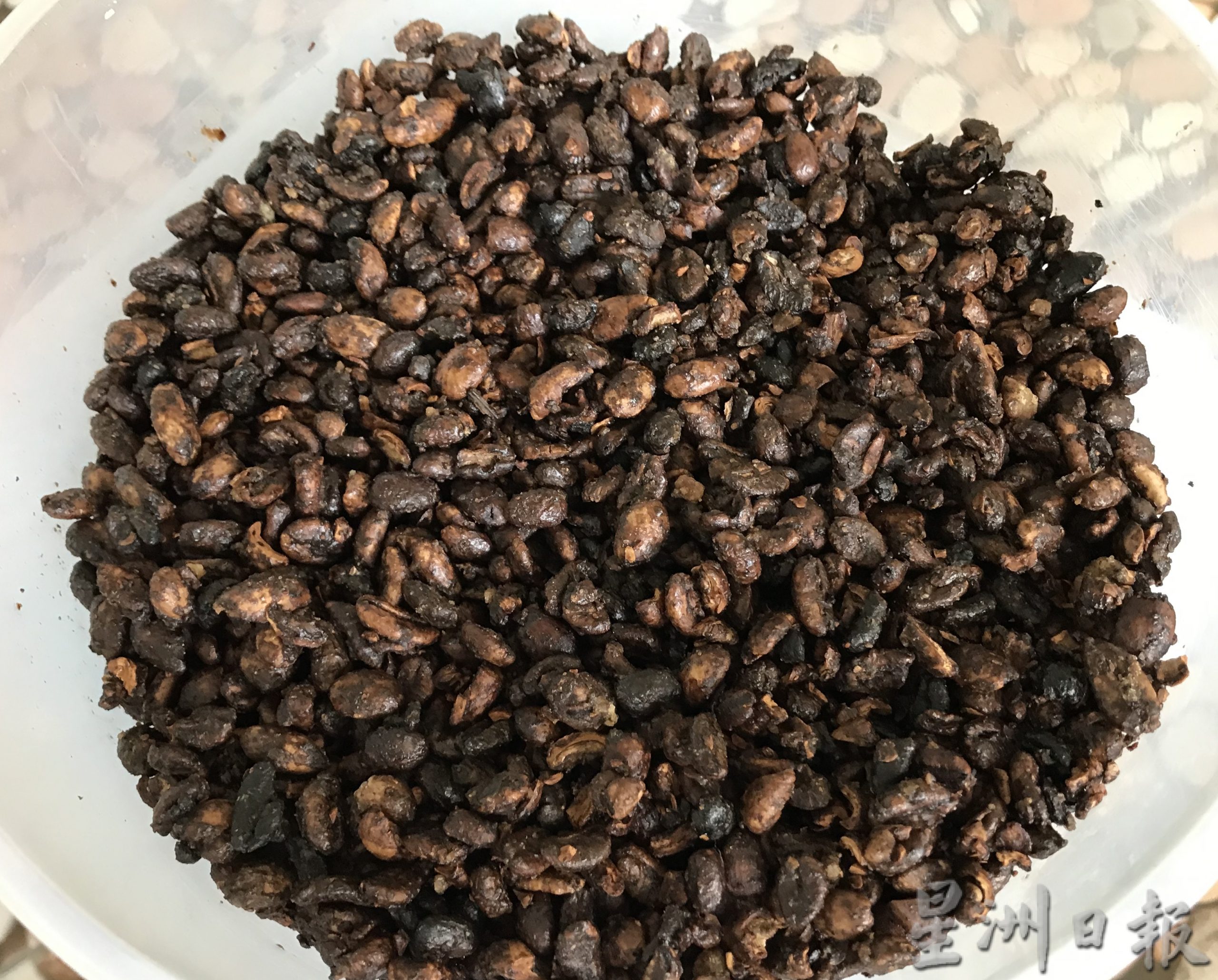 大霹雳时事焦点/游王城 品咖啡 乌鲁格纳斯咖啡园供参观