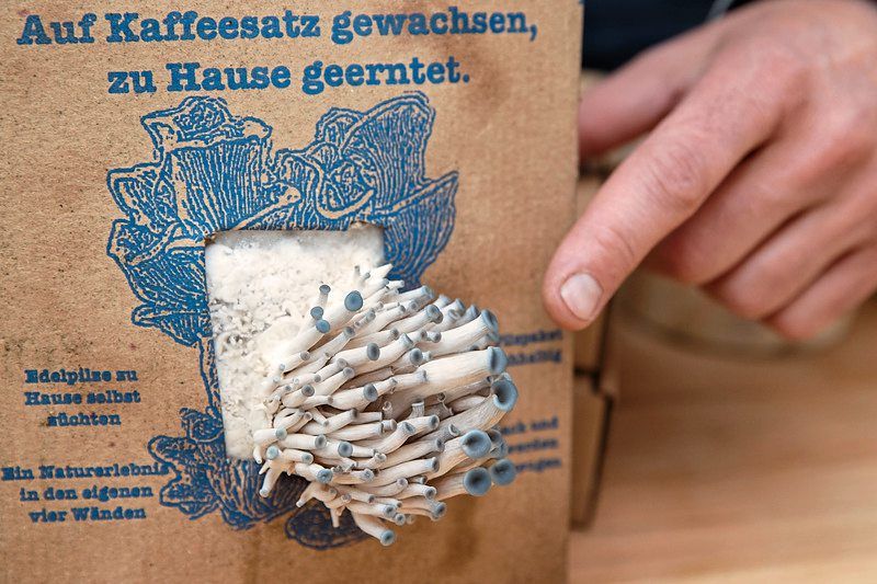 拼盘回顾 “疫”外生机/疫情下催生的新兴趣爱好成挣钱工具 挣钱的业余爱好