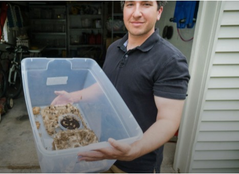 拼盘回顾 “疫”外生机/疫情下催生的新兴趣爱好成挣钱工具 挣钱的业余爱好