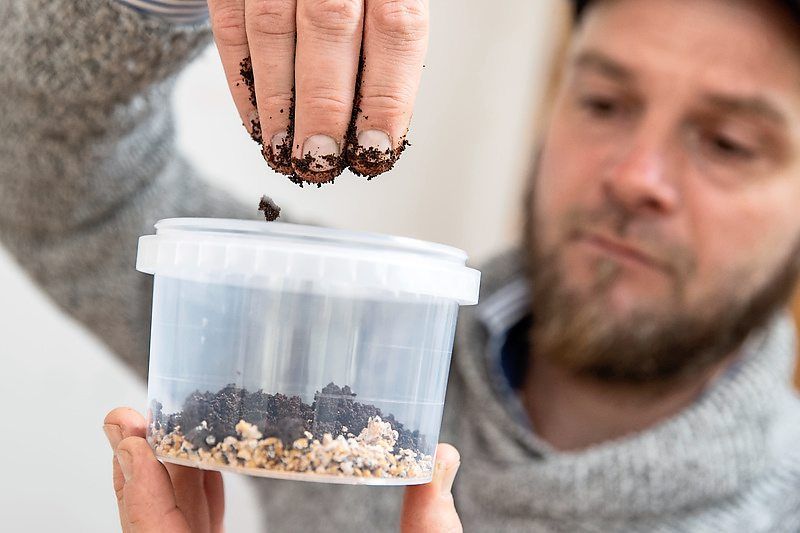 拼盘回顾 “疫”外生机/疫情下催生的新兴趣爱好成挣钱工具 挣钱的业余爱好