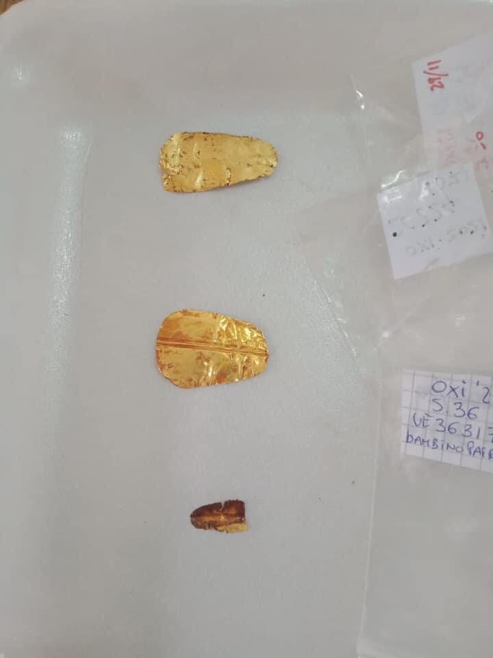 拼盘3图/埃及出土两具距今超过2500年的“金舌”遗骸