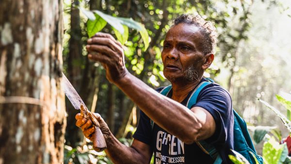 新教育（12月28日）封面故事: Native