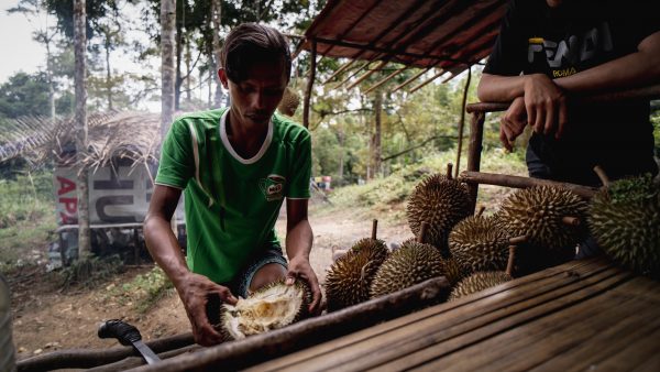 新教育（12月28日）封面故事: Native