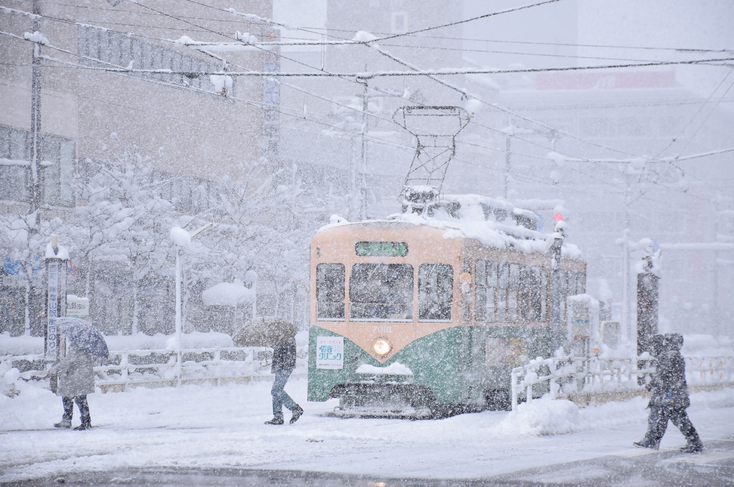 日本遇强降雪 国内交通大停摆