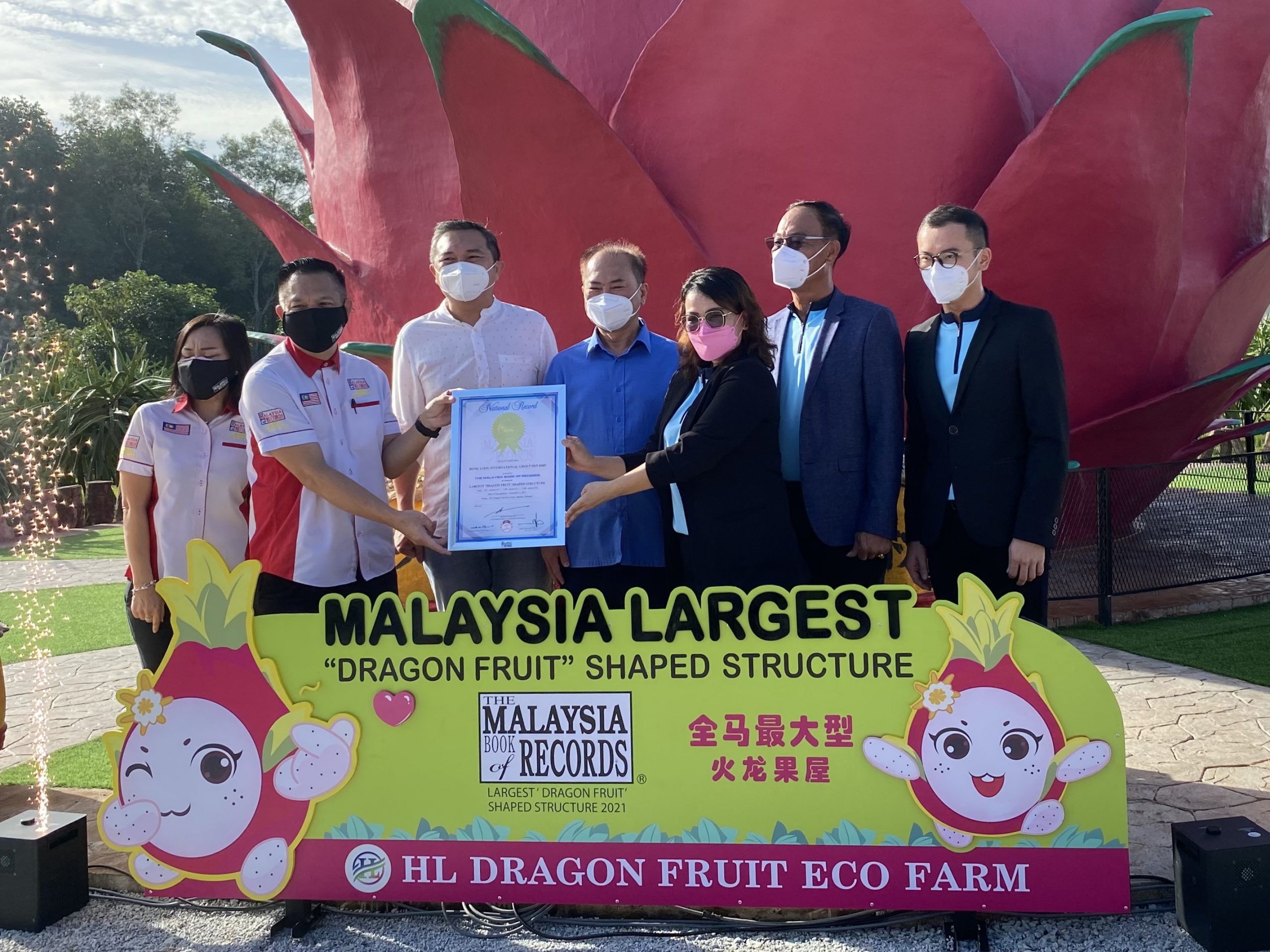 早报版头//(大都会)黄思汉见证全马最大火龙果屋/4图