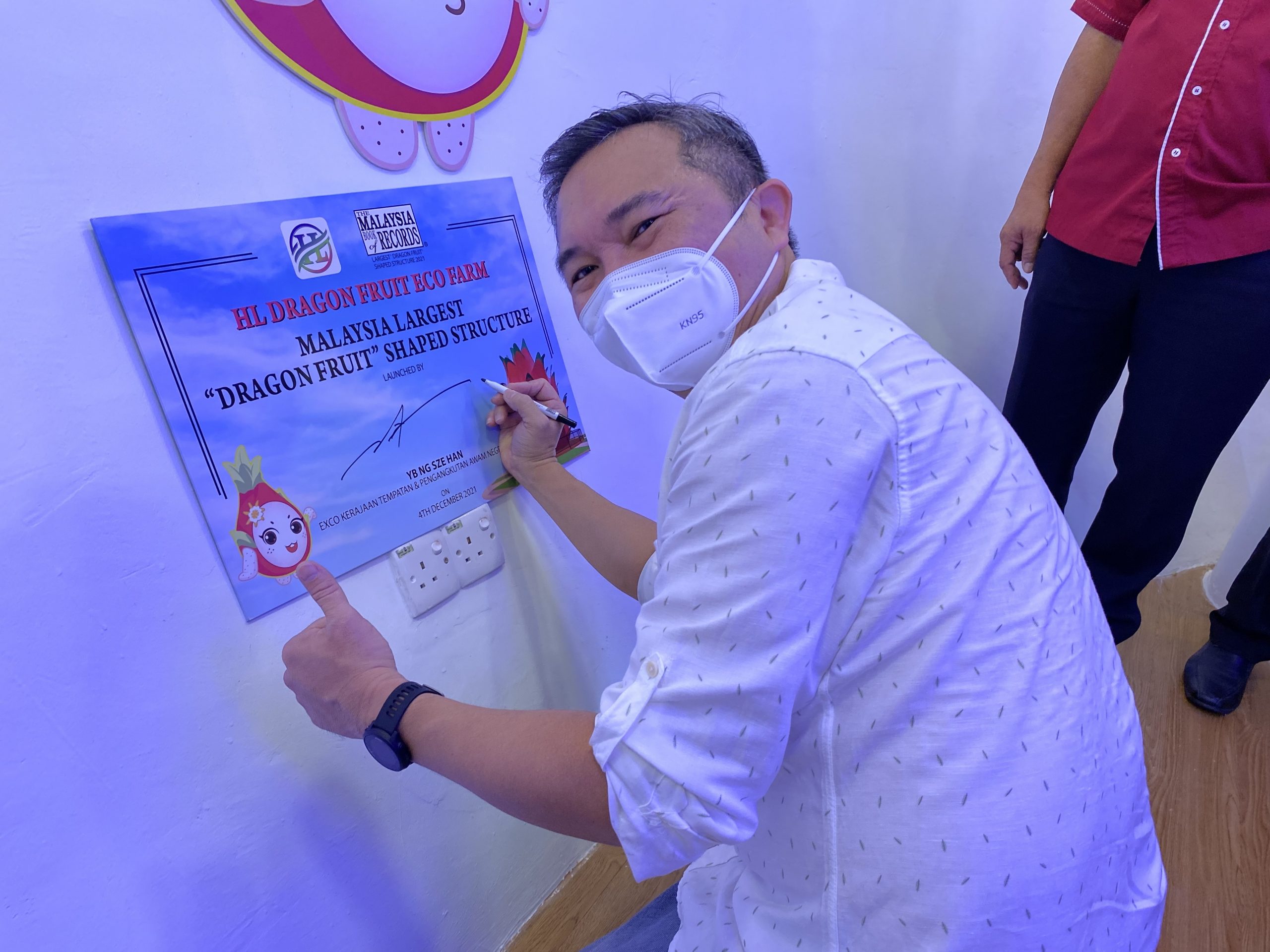 早报版头//(大都会)黄思汉见证全马最大火龙果屋/4图