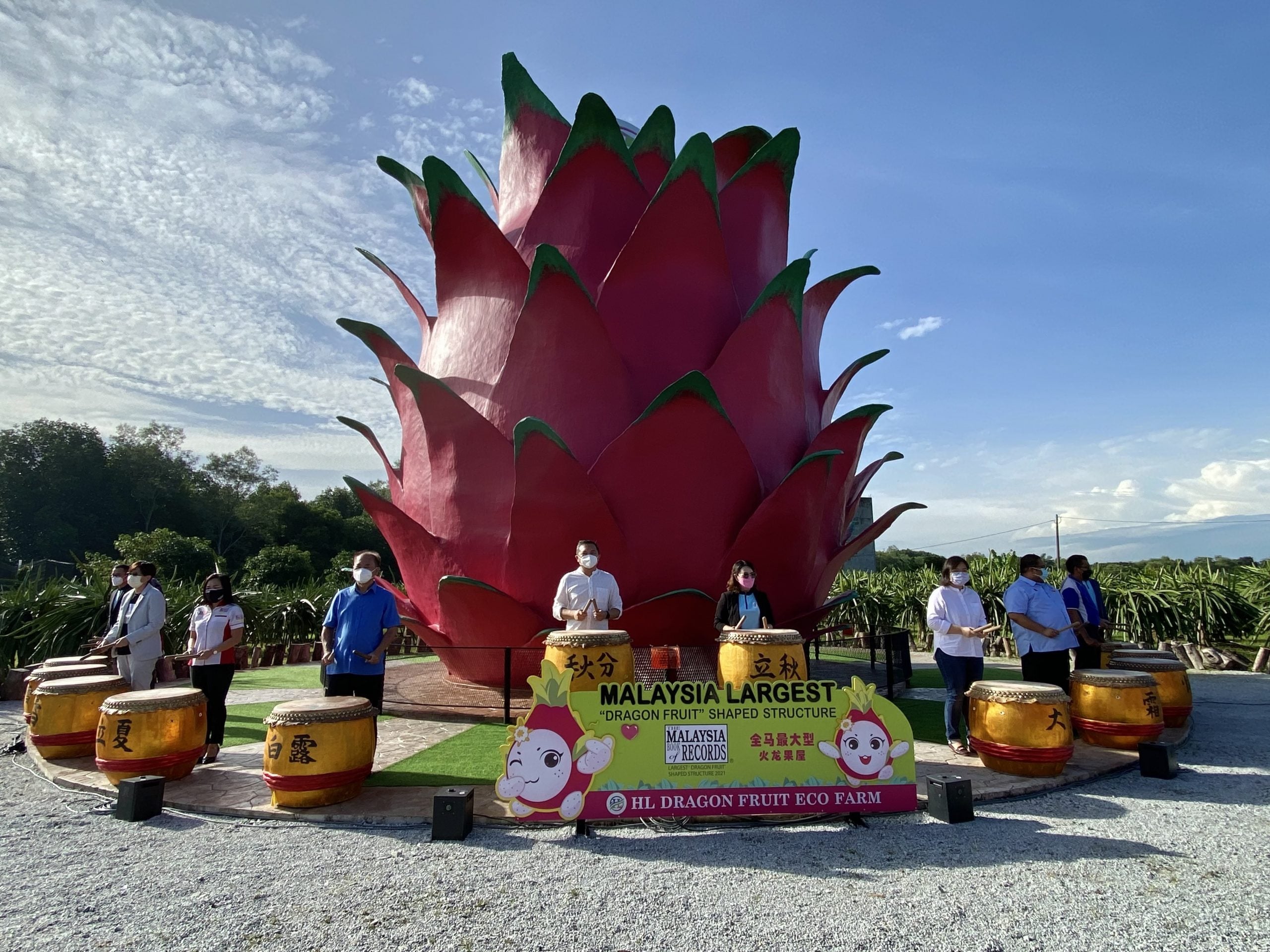 早报版头//(大都会)黄思汉见证全马最大火龙果屋/4图
