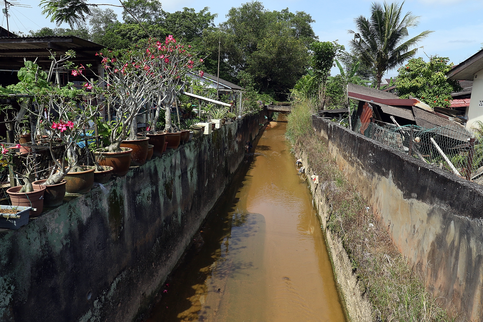 柔:特稿:年底或迎强降雨 柔南居民备战防灾