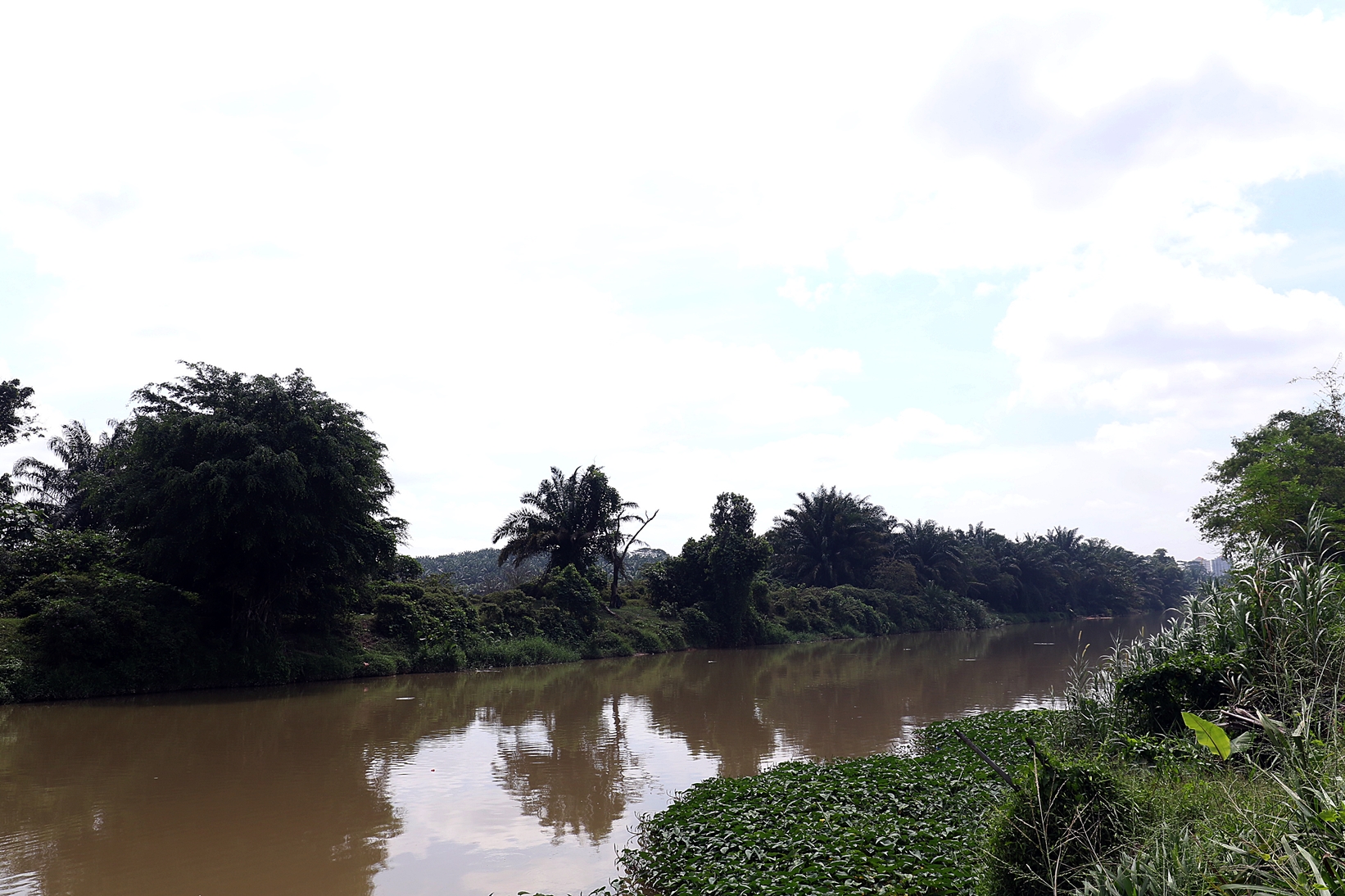 柔:特稿:年底或迎强降雨 柔南居民备战防灾