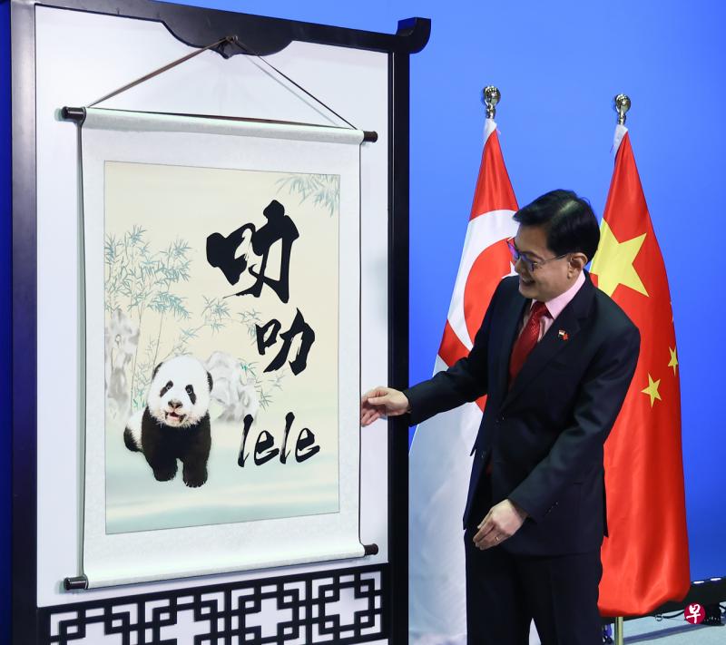 狮城大熊猫宝宝取名叻叻 明日起河川生态园会客