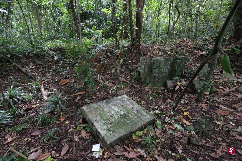 狮城武吉知马路上段丛林内 单亲妈妈遭压死 砖墙重数十公斤