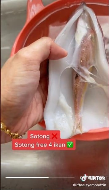 视频 | 切开苏东发现4条鱼!网民质疑被商贩“骗重量”