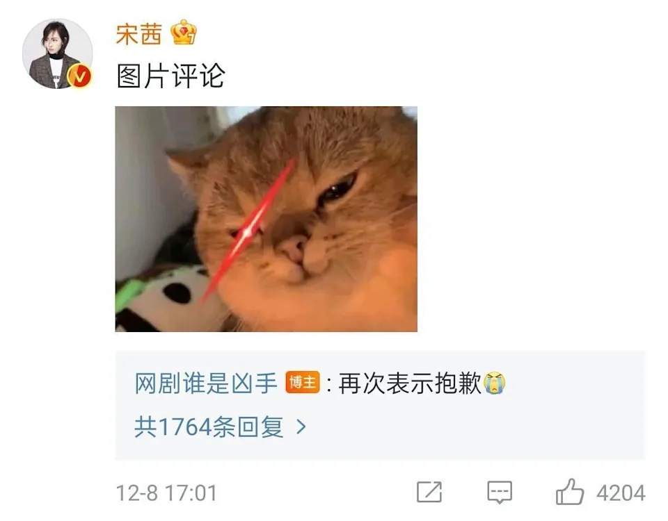 赵丽颖新剧“盗宋茜照当死者” 粉丝号召检举求下架