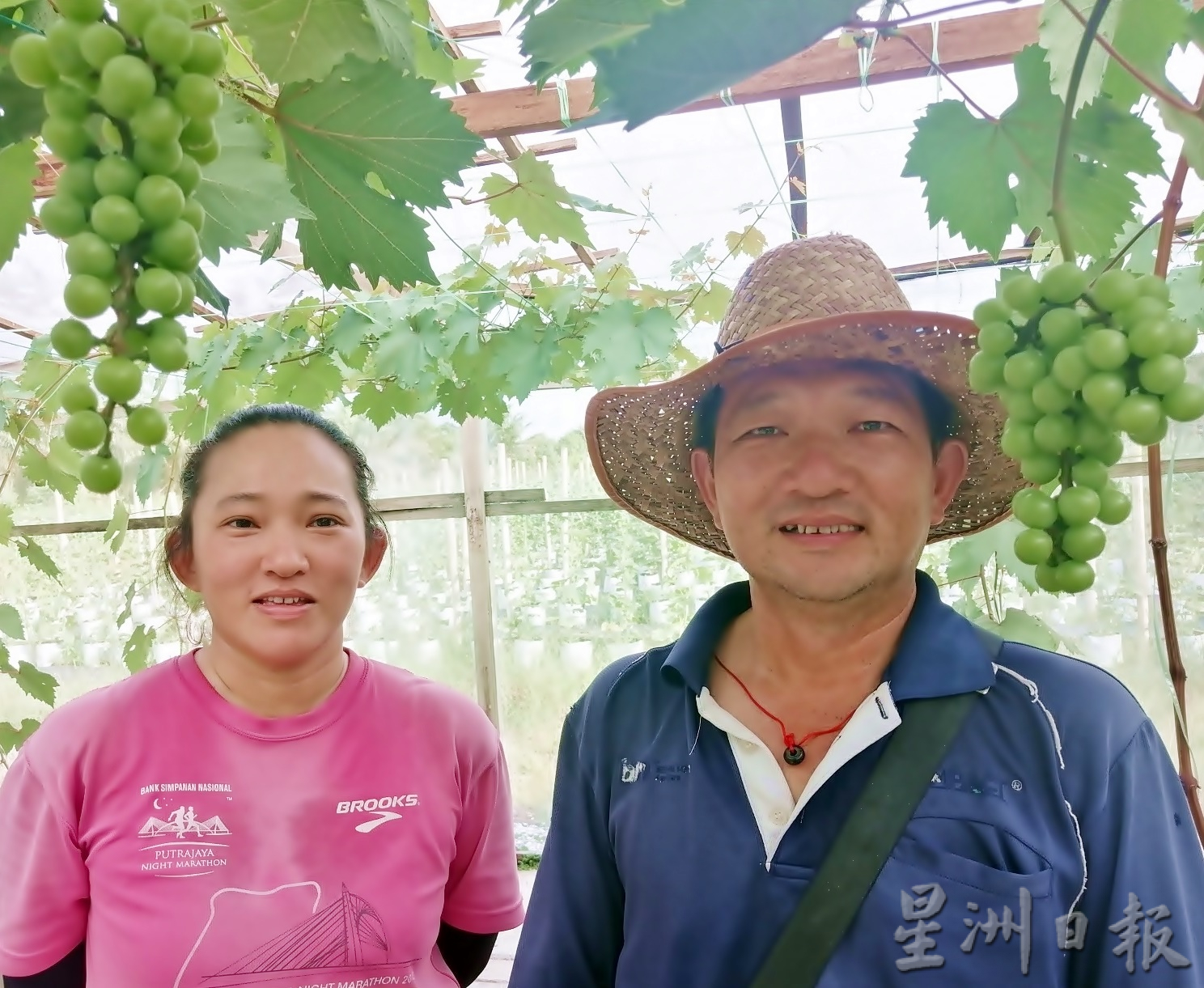 霹:12月24日见报/封底主文/【疫游霹雳】一家大小自驾乐 来趟安顺绿色之旅