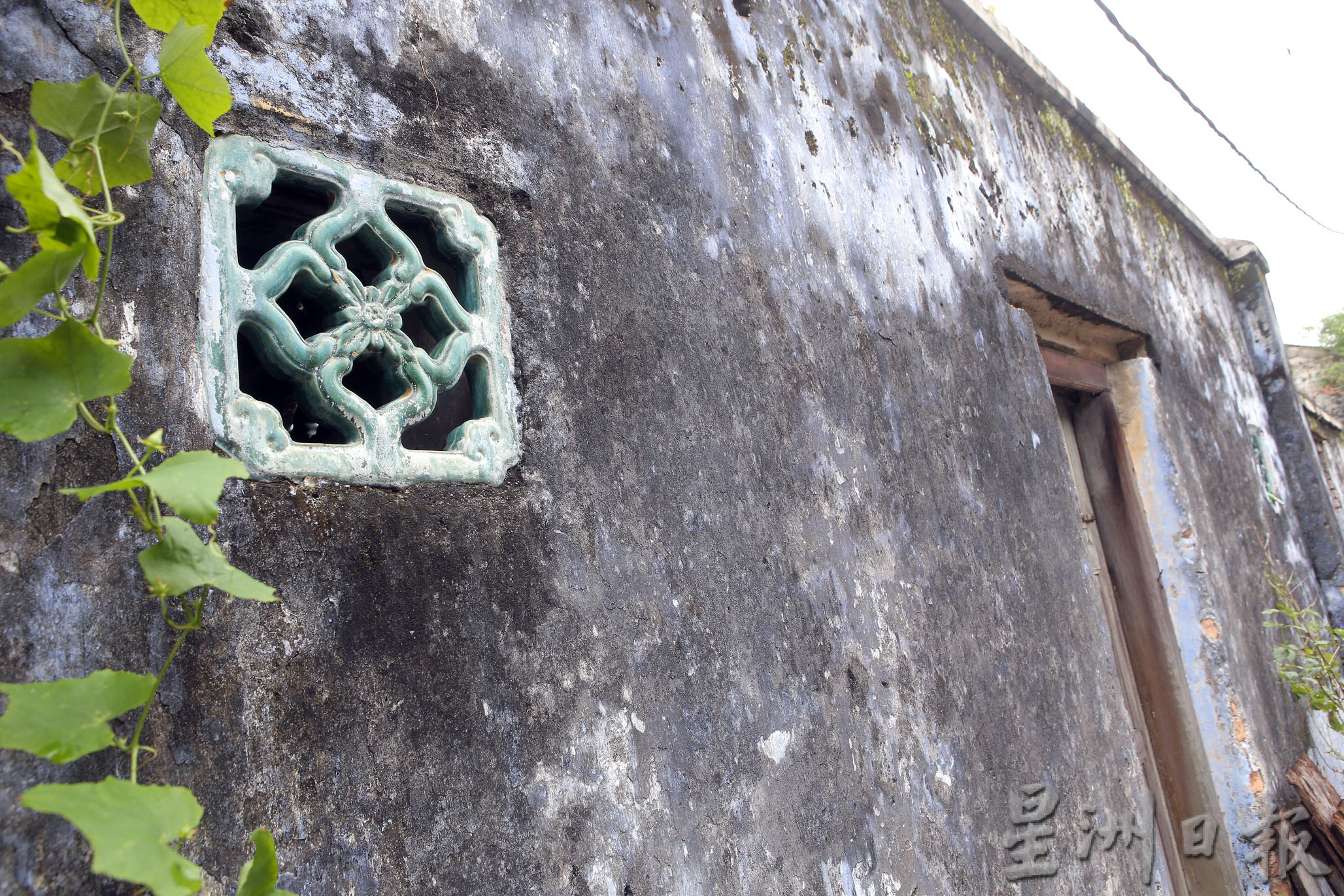 霹:15日见报/封底主文/生活画页