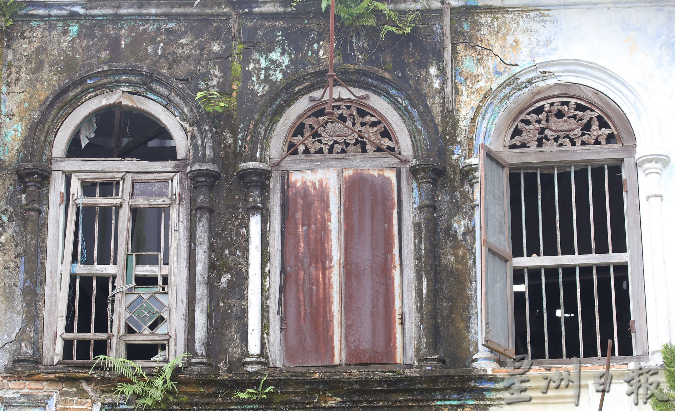 霹:15日见报/封底主文/生活画页