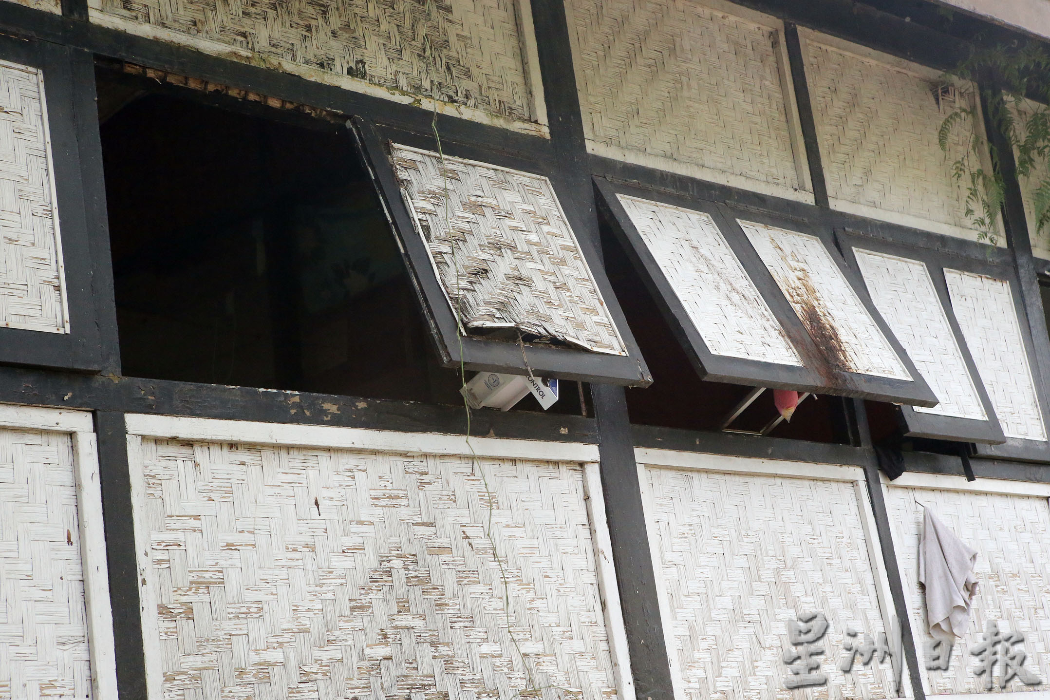 霹:15日见报/封底主文/生活画页