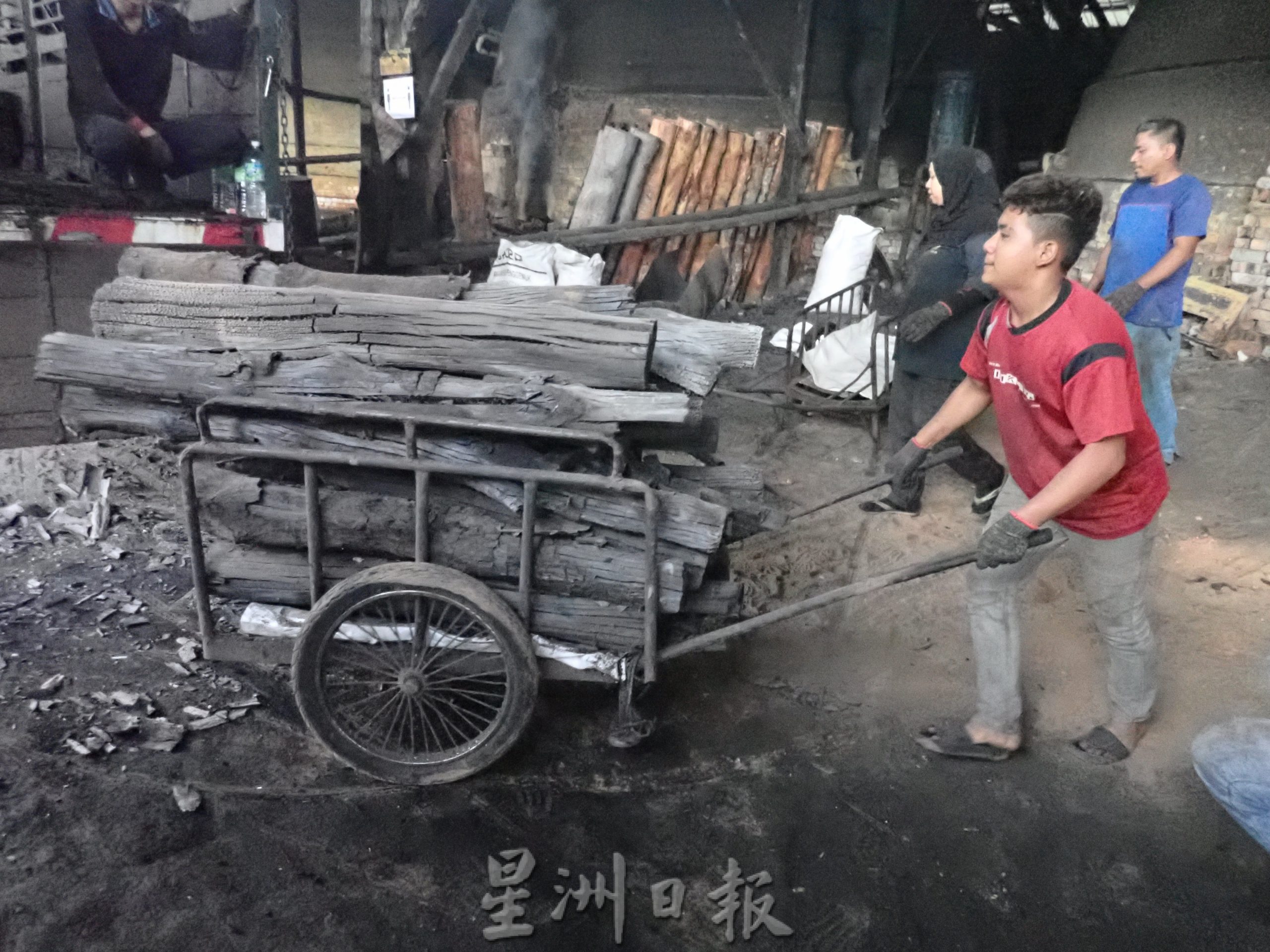 霹:8日见报/封底主文/【生活画页】木炭混身是宝