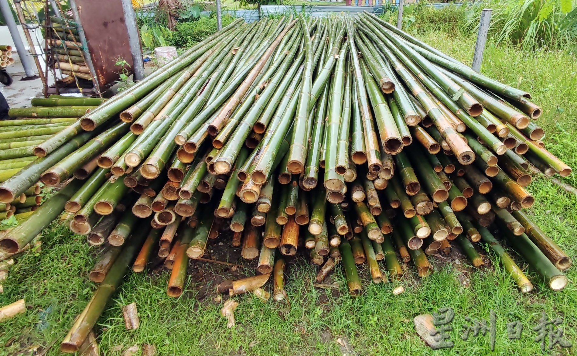 霹：封底主文／12月22日见报【生活画页】历史悠久渐式微 安顺织箩人家剩4家