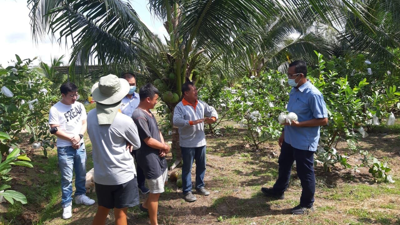(19/12)有故事的人-蔡永强(菜果农)