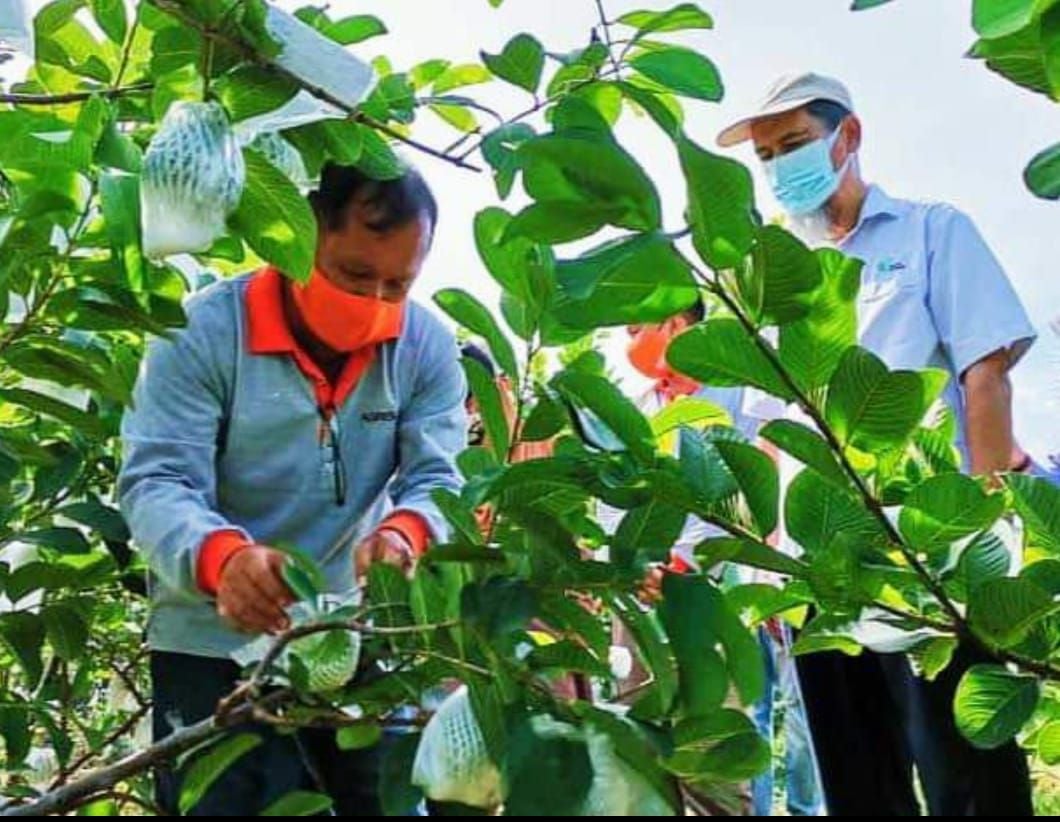 (19/12)有故事的人-蔡永强(菜果农)