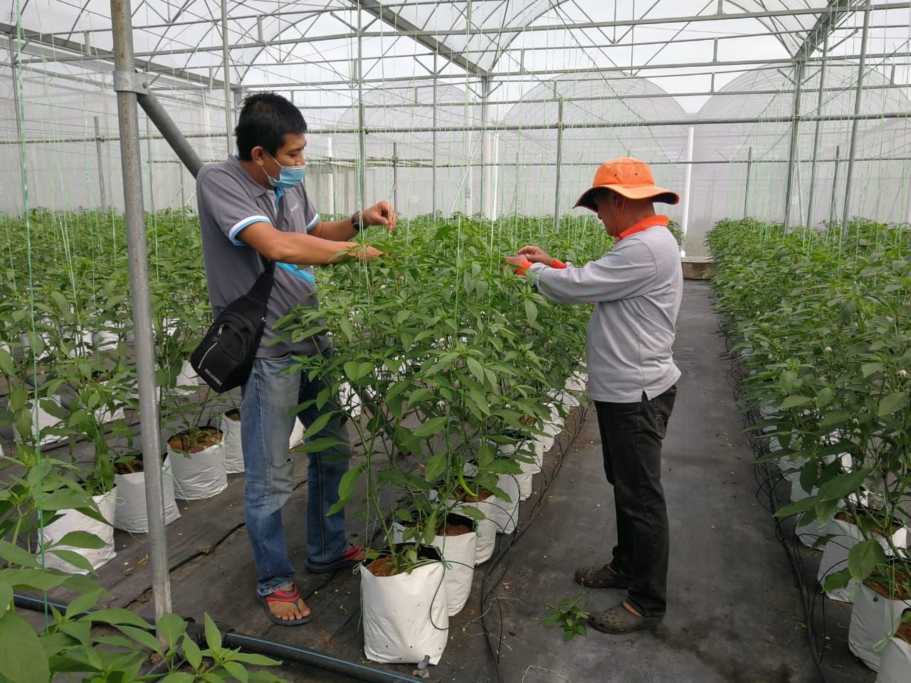 (19/12)有故事的人-蔡永强(菜果农)