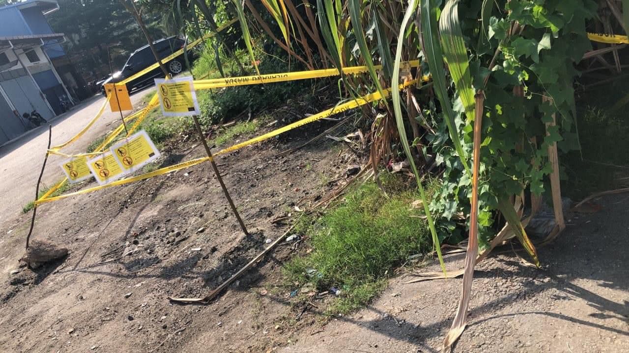 (副文)大都会:村民乱丢垃圾,李金狮村出现垃圾山/3图