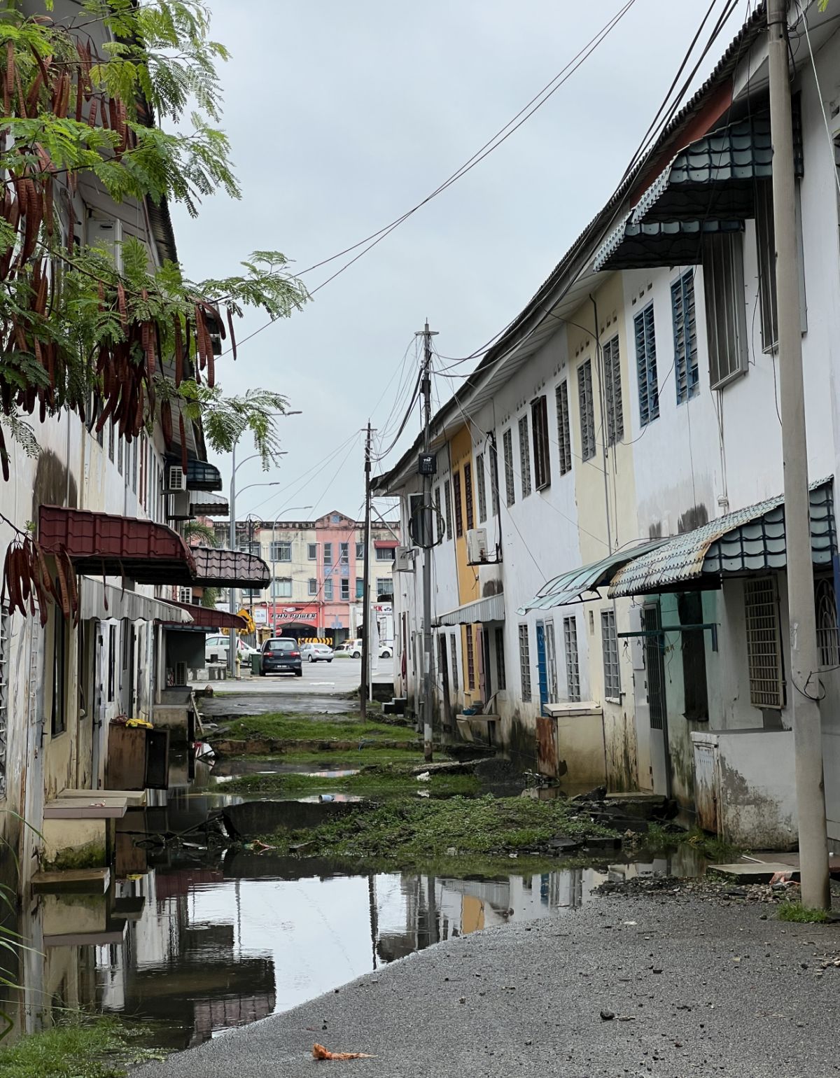 （古城封面副文）谢守钦：向政府反映玛琳柏迈“倾斜屋”问题