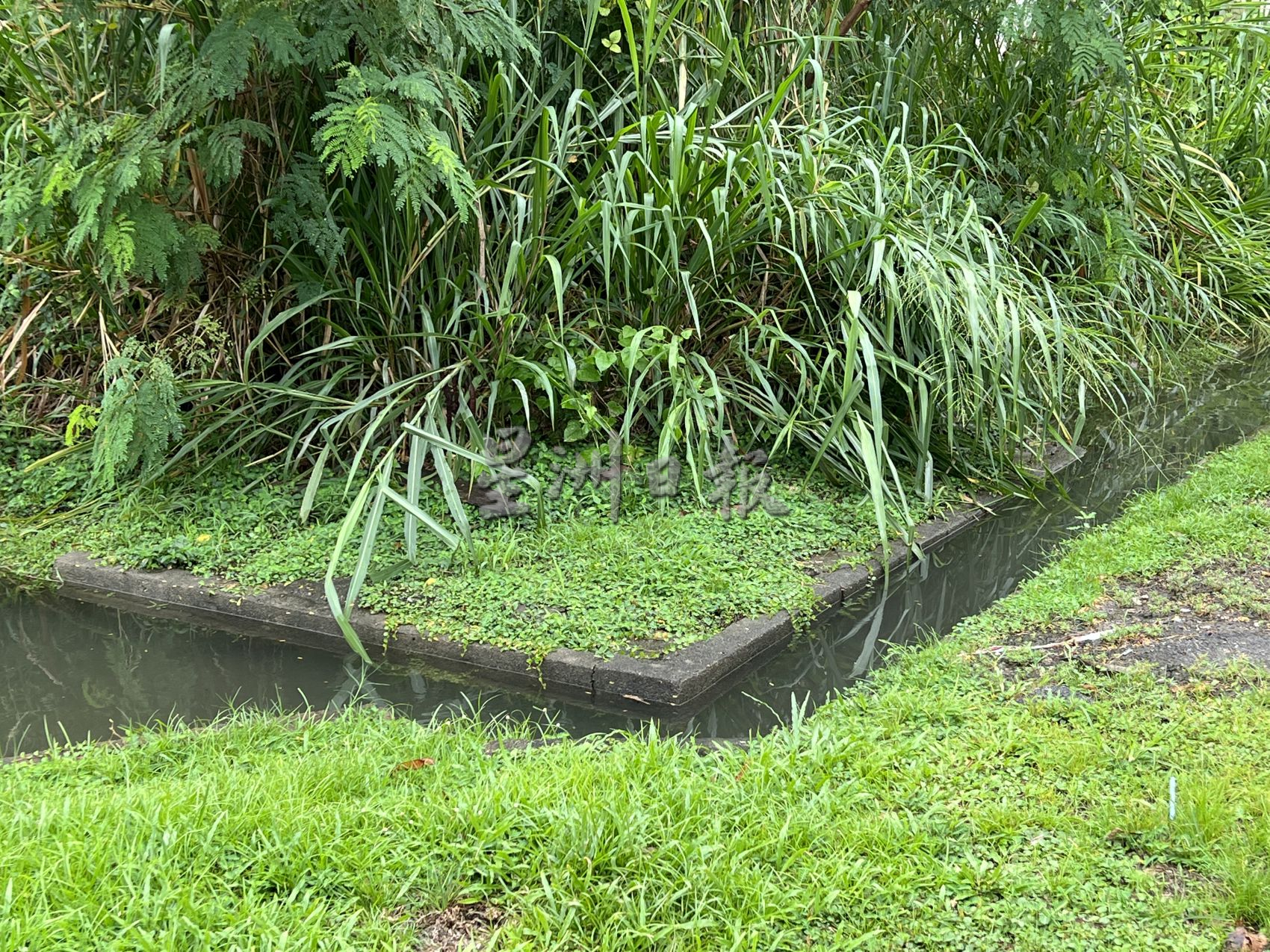 （古城封面副文）谢守钦：向政府反映玛琳柏迈“倾斜屋”问题