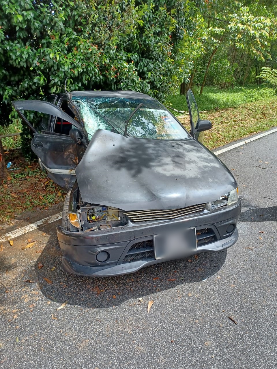 (古城版)轿车撞树意外