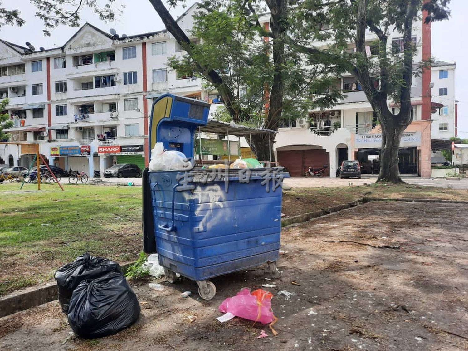 （古城第三版主文）居民喂养乌鸦，哥打拉沙马那乌达玛组屋区乌鸦满为患