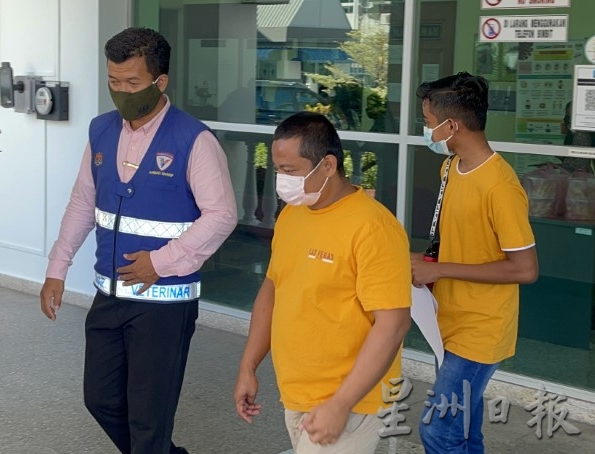 （大北马）巫裔男子非法运载21头活牛，被控时认罪罚款2000