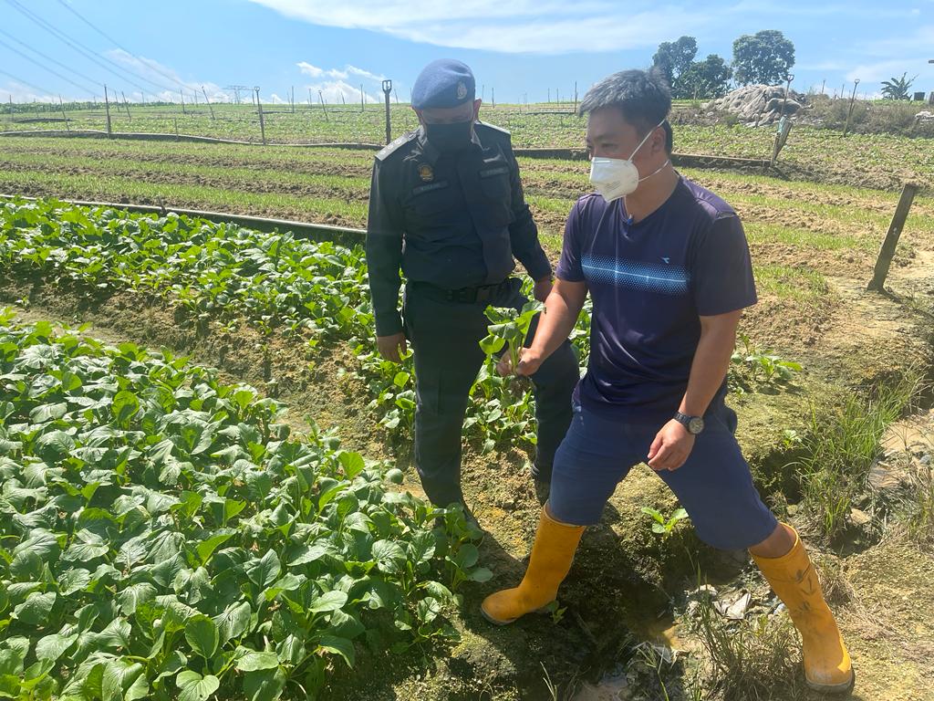 (已签发)柔:接菜价暴涨50%至100%投诉,贸消局“巴刹行动”发21封警告信