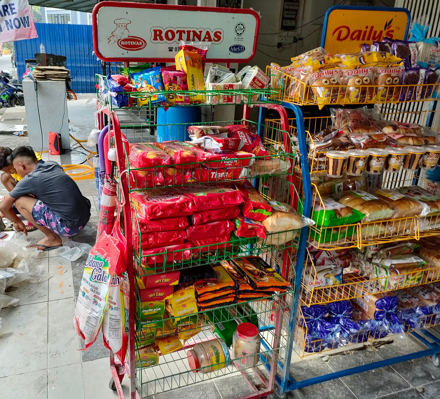 （版2头）大都会-访太子园 12图