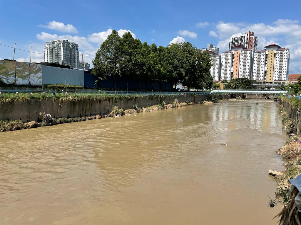 me（版3头）大都会/杨巧双记者会