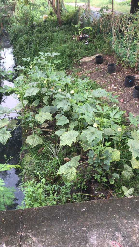 1月31日见报(大都会)有故事的人:开德士看人生百态//--宋来兴