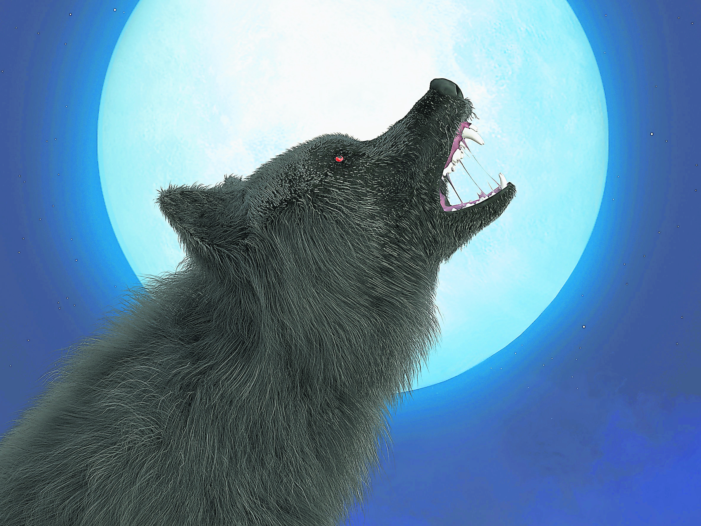 20/1 城人小说——狼人传说/西林/王昕玫 Heng Xin Mei/991217-10-6114/xinmei1999f@gmail.com/6450511623 (Public Bank)